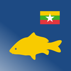 ရွှေငါး - Shwe Ngar icon