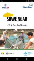 ရွှေငါး - Shwe Ngar Affiche