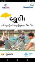 ရွှေငါး - Shwe Ngar capture d'écran 1
