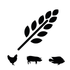 Feed Calculator for livestock icon