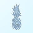 Vida Life - by Pura Vida Miami أيقونة