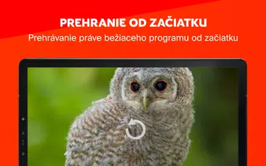 Skylink Live TV SK XAPK download