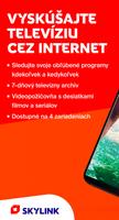 Skylink Live TV SK Affiche