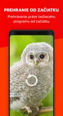 Skylink Live TV SK XAPK download