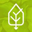 Pantry icon