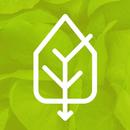 Pantry APK