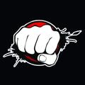Piratenpower
