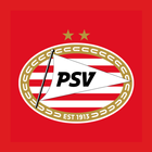 PSV иконка