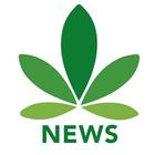 Cannabis News Network simgesi