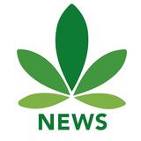 Cannabis News Network icône