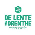 De Lente van Drenthe ikona