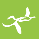 't Rheezerwold APK
