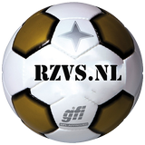 RZVS.nl icône