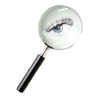 Web Spy أيقونة