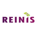 Reinis
