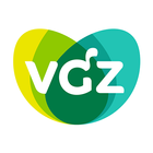 VGZ ícone