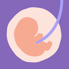 24baby.nl – Pregnant & Baby simgesi