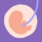 آیکون‌ 24baby.nl – Pregnant & Baby