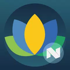N Theme - Flat Icon Pack APK download
