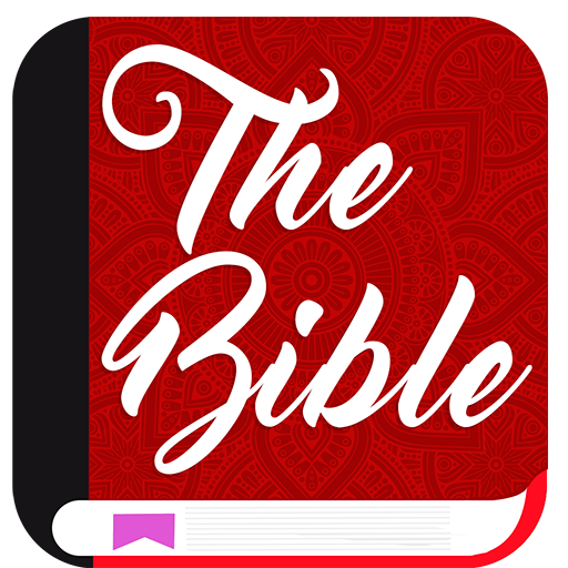 NRSV Bible