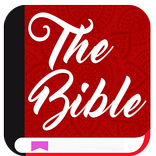NRSV Bible