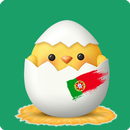 Learn Portuguese Vocabulary -  APK