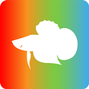 betta APK