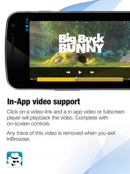 InBrowser 截图 12