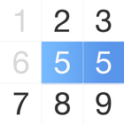 Number Puzzle - Ten & Pair icono