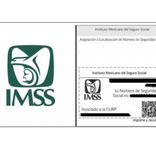 Número de Seguro Social aqui