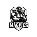 APK Addington Magpies RLFCM