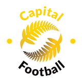 Capital icône