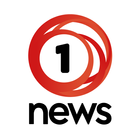 1NEWS icône