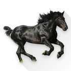 Old Town Road icon