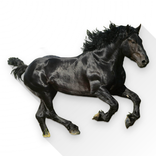 Old Town Road Soundboard