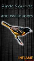 Birds Sounds and Wallpapers 海报