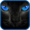 Cat Sounds and Wallpapers APK