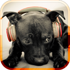 Dog Sounds icon