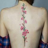 Tatuaje de flores icono