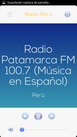 Radio Peru screenshot 3