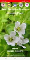 SMART Medicinal Plants - Bacopa monnieri الملصق