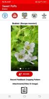 SMART Medicinal Plants - Bacopa monnieri Ekran Görüntüsü 1