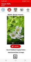 SMART Medicinal Plants - Bacopa monnieri تصوير الشاشة 1