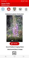 SMART Medicinal Plants -  Uraria picta تصوير الشاشة 1