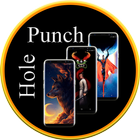 S22 Punch Hole icon