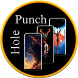 S22 Punch Hole icono