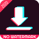 Video Downloader for TikTok - No Watermark 2020 APK