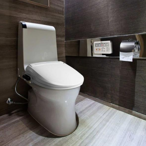 Toilettensitze
