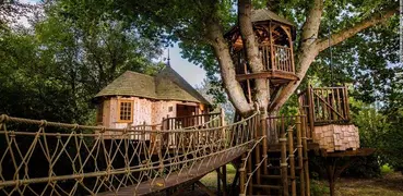 Treehouse