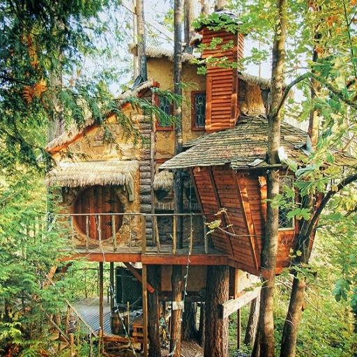 樹上の家